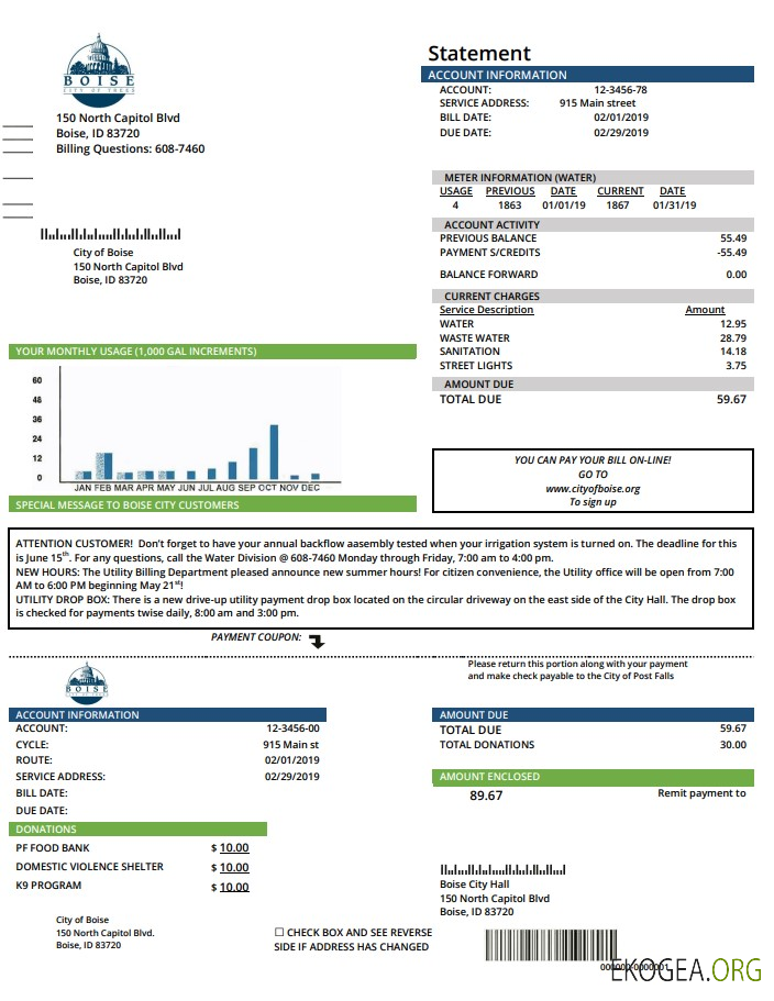 USA Idaho Boise City of Trees water utility bill template in Word and PDF format